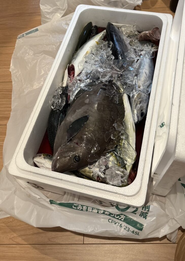 菅原幸大　17